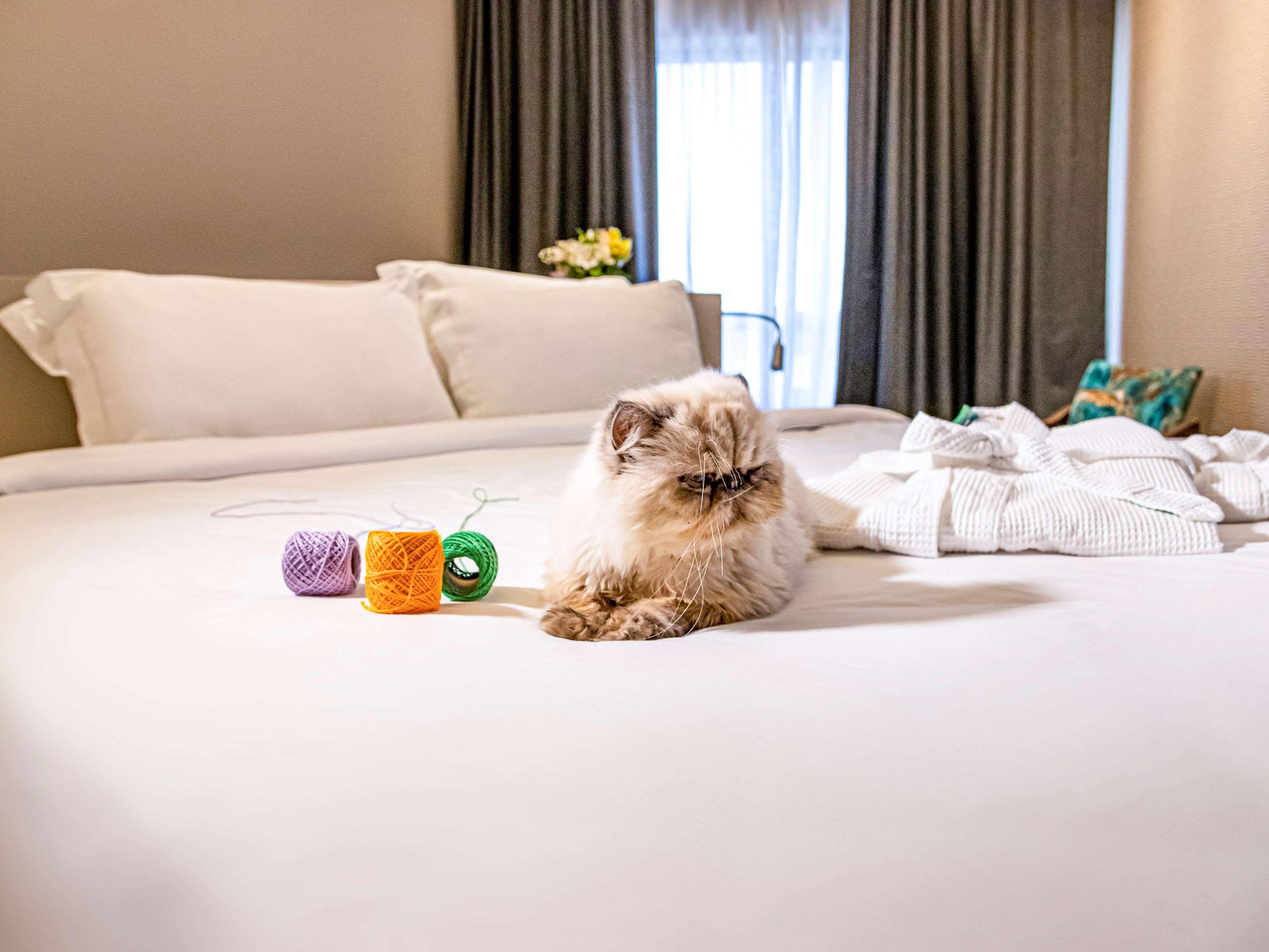 Mercure Florianópolis Zewnętrze zdjęcie